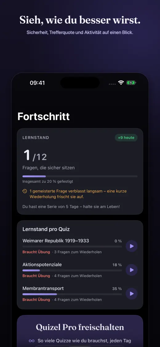 Dunkle Quizel-Fortschrittsansicht mit Lernstand und Themen zum Wiederholen
